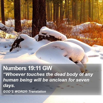 Numbers 19:11 GW Bible Verse Image