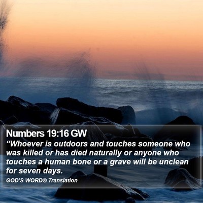 Numbers 19:16 GW Bible Verse Image