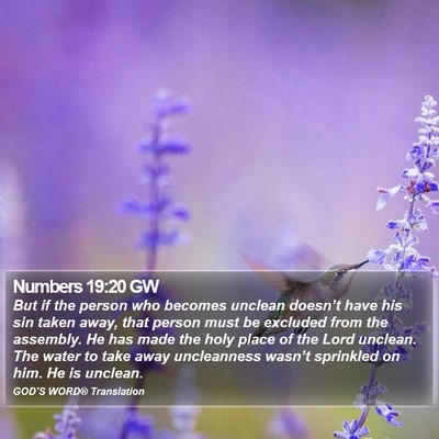 Numbers 19:20 GW Bible Verse Image