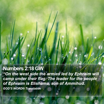 Numbers 2:18 GW Bible Verse Image