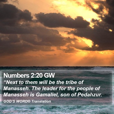Numbers 2:20 GW Bible Verse Image