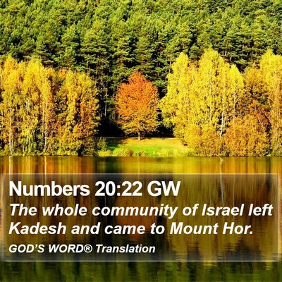 Numbers 20:22 GW Bible Verse Image