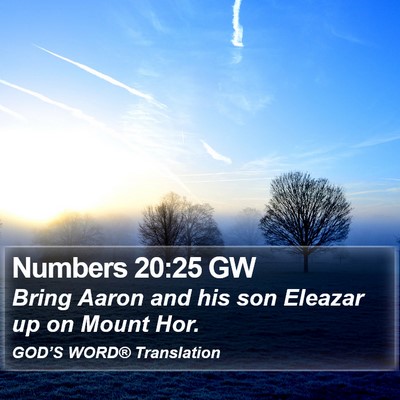 Numbers 20:25 GW Bible Verse Image