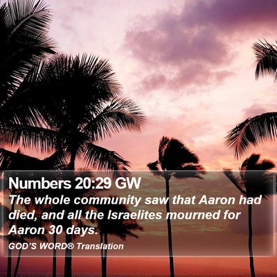 Numbers 20:29 GW Bible Verse Image