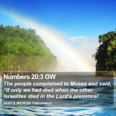 Numbers 20:3 GW Bible Verse Image