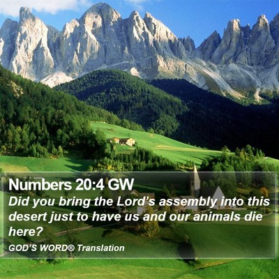 Numbers 20:4 GW Bible Verse Image