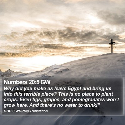 Numbers 20:5 GW Bible Verse Image