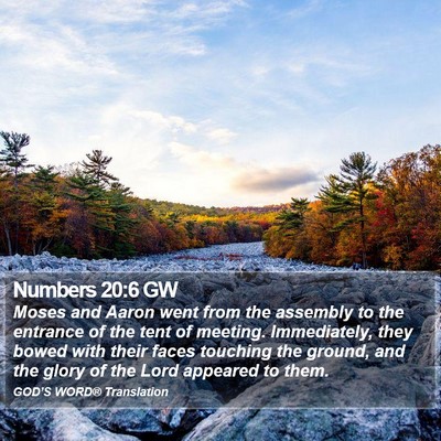 Numbers 20:6 GW Bible Verse Image