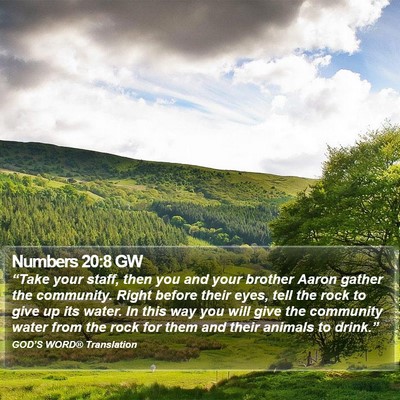 Numbers 20:8 GW Bible Verse Image