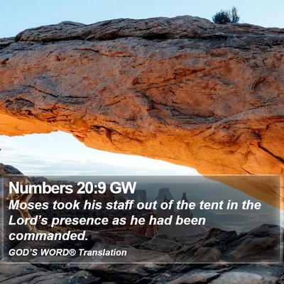 Numbers 20:9 GW Bible Verse Image