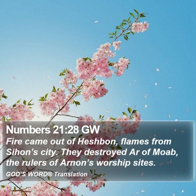 Numbers 21:28 GW Bible Verse Image