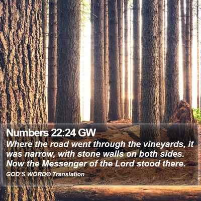 Numbers 22:24 GW Bible Verse Image