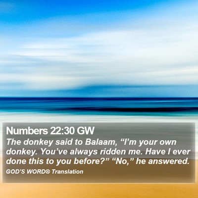 Numbers 22:30 GW Bible Verse Image
