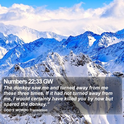 Numbers 22:33 GW Bible Verse Image
