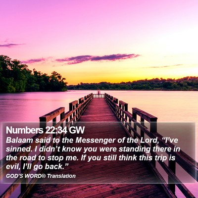 Numbers 22:34 GW Bible Verse Image