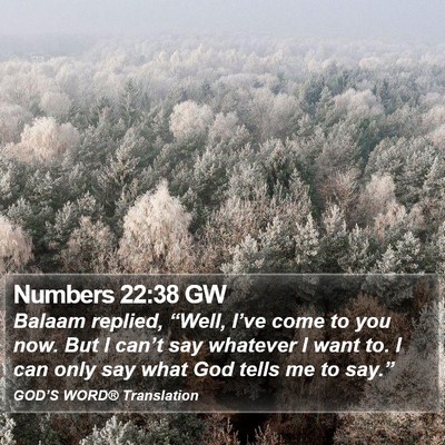 Numbers 22:38 GW Bible Verse Image