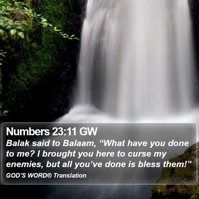 Numbers 23:11 GW Bible Verse Image
