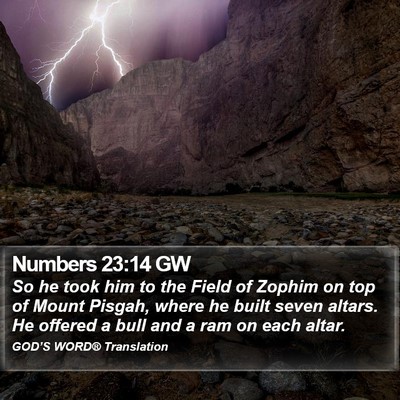 Numbers 23:14 GW Bible Verse Image