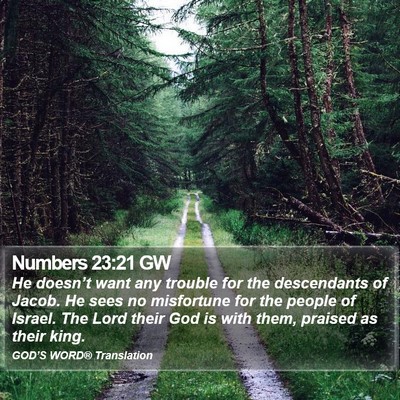 Numbers 23:21 GW Bible Verse Image