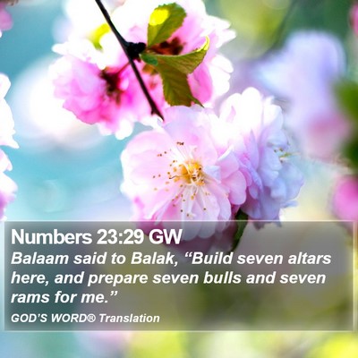Numbers 23:29 GW Bible Verse Image