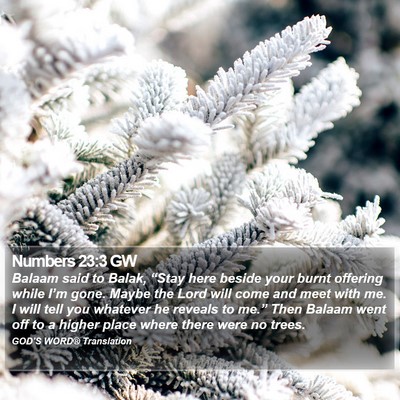 Numbers 23:3 GW Bible Verse Image