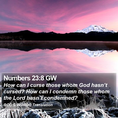Numbers 23:8 GW Bible Verse Image