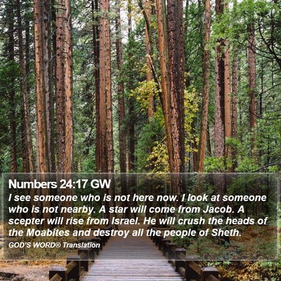 Numbers 24:17 GW Bible Verse Image