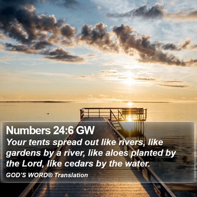 Numbers 24:6 GW Bible Verse Image