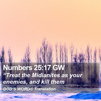 Numbers 25:17 GW Bible Verse Image