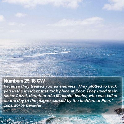 Numbers 25:18 GW Bible Verse Image