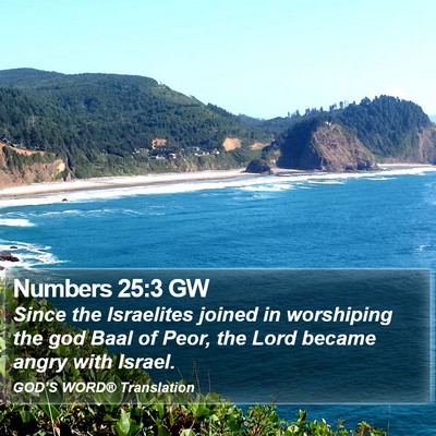 Numbers 25:3 GW Bible Verse Image