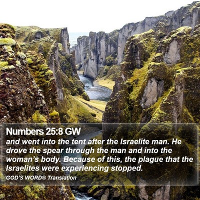 Numbers 25:8 GW Bible Verse Image