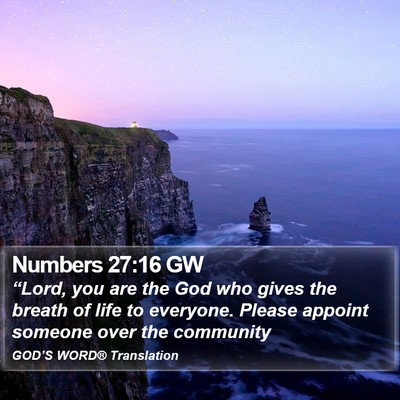 Numbers 27:16 GW Bible Verse Image