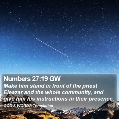 Numbers 27:19 GW Bible Verse Image