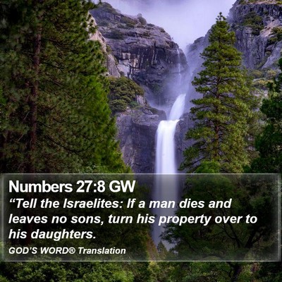 Numbers 27:8 GW Bible Verse Image