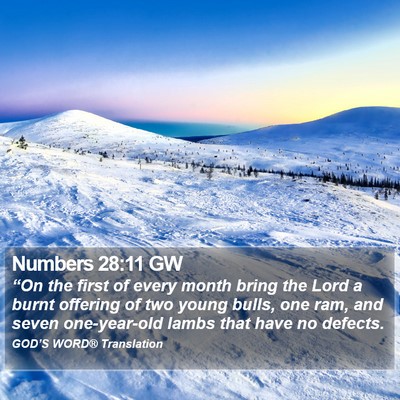 Numbers 28:11 GW Bible Verse Image