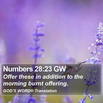 Numbers 28:23 GW Bible Verse Image