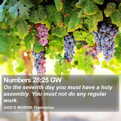 Numbers 28:25 GW Bible Verse Image