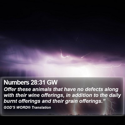 Numbers 28:31 GW Bible Verse Image