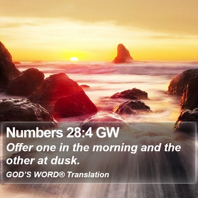 Numbers 28:4 GW Bible Verse Image