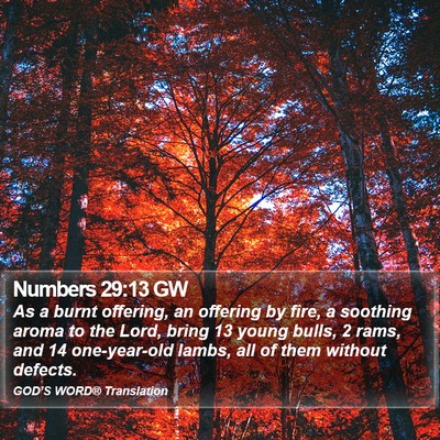Numbers 29:13 GW Bible Verse Image