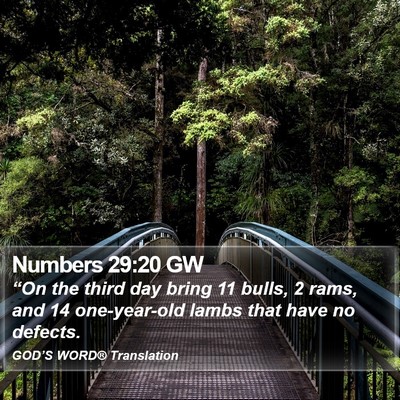 Numbers 29:20 GW Bible Verse Image
