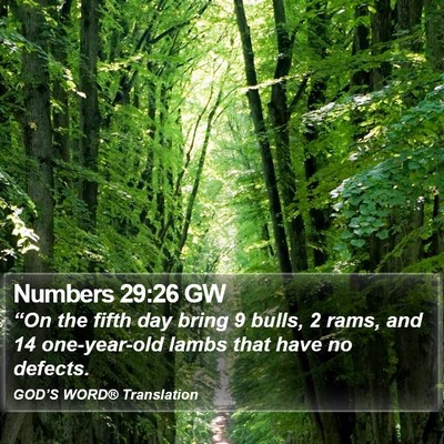 Numbers 29:26 GW Bible Verse Image