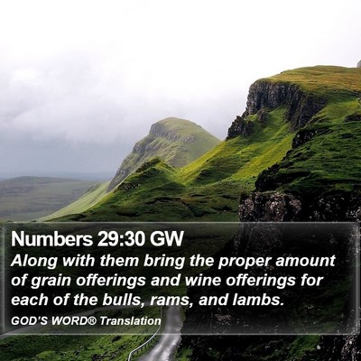 Numbers 29:30 GW Bible Verse Image