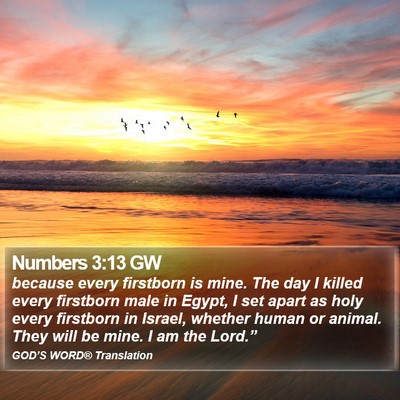 Numbers 3:13 GW Bible Verse Image