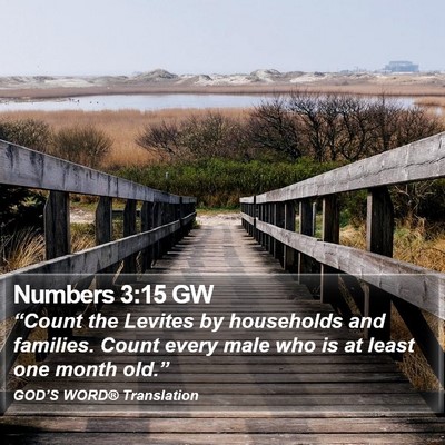 Numbers 3:15 GW Bible Verse Image