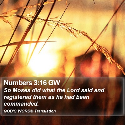 Numbers 3:16 GW Bible Verse Image