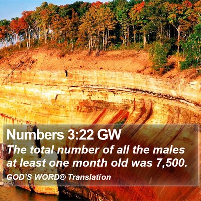 Numbers 3:22 GW Bible Verse Image
