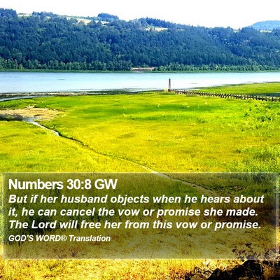 Numbers 30:8 GW Bible Verse Image