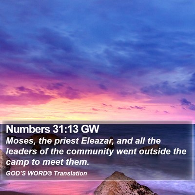 Numbers 31:13 GW Bible Verse Image